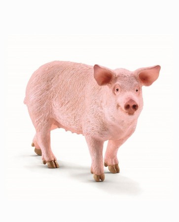 Gårdsdyr